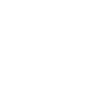 Alternate Text